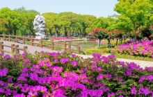 三国水浒景区(中央电视台无锡影视基地)
