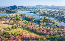 上海辰山植物园