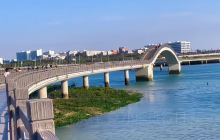 下潭尾红树林湿地生态公园
