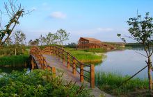 东滩湿地公园