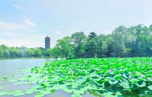 北京大学-未名湖
