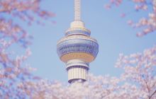 北京赏樱花
