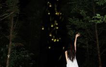 千岛湖酉坞里萤火虫主题公园