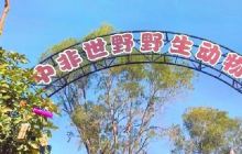 厦门中非世野野生动物驯养繁殖基地