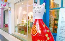 厦门猫咪博物馆(思明南路店)