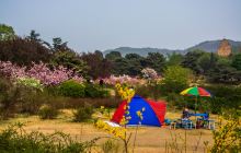 国家植物园(原北京植物园)