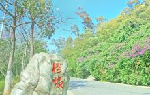 怪坡