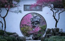 杭州赏梅花