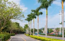 环岛路观光大道