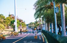环岛路
