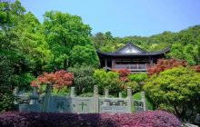 老龙井十八棵御茶园