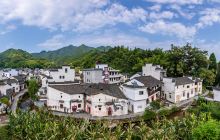 芹川村