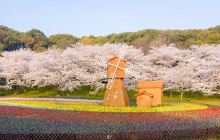 苏州上方山国家森林公园