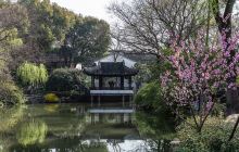 苏州赏桃花