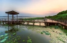 阳澄湖莲花岛