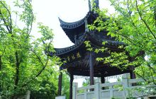 香山景区
