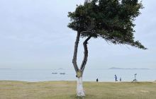 黄厝海滨浴场